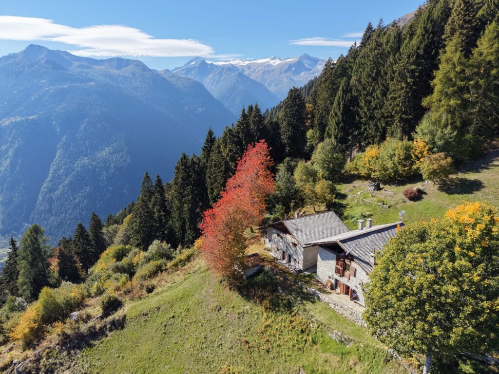 Cavria in Autumn 4